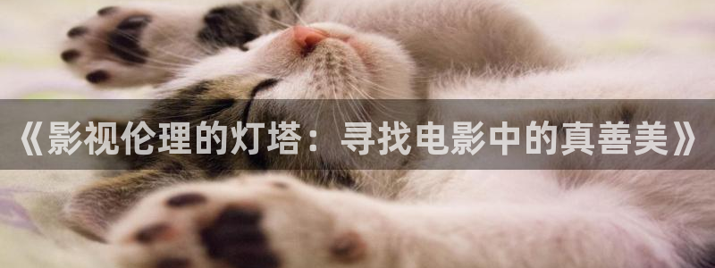 妈妈的朋友八戒影视