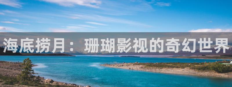 神马电影我不卡八戒